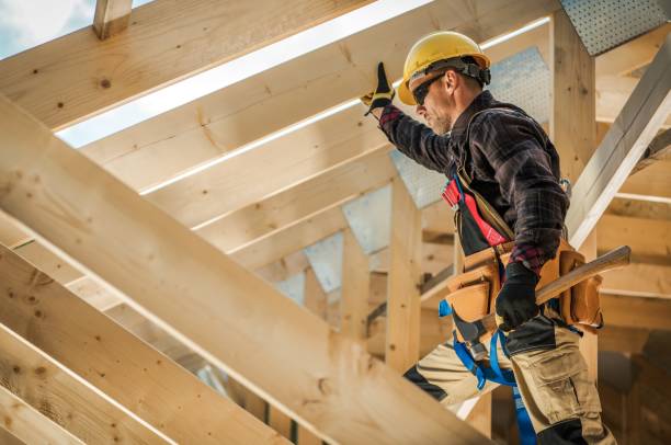 Roof Gutter Cleaning