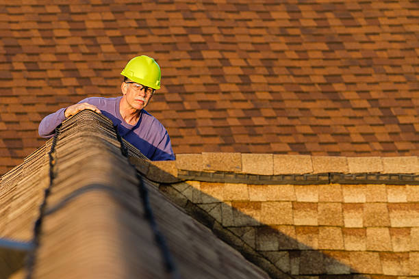 Best Roof Gutter Cleaning  in Prieville, NC